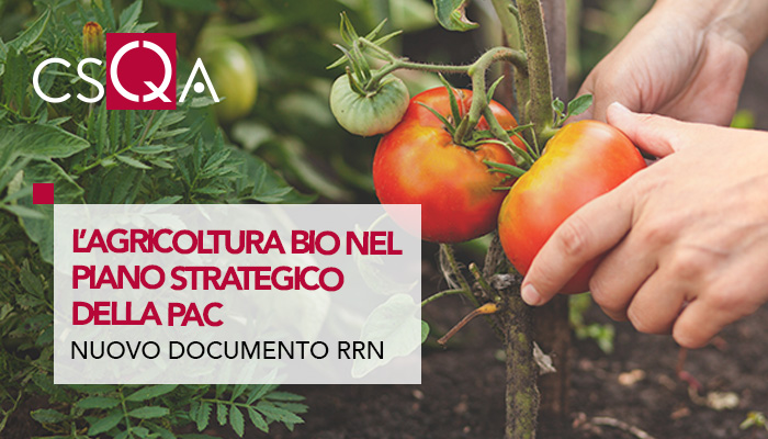 Organic agriculture in the Strategic Plan of the Italian CAP