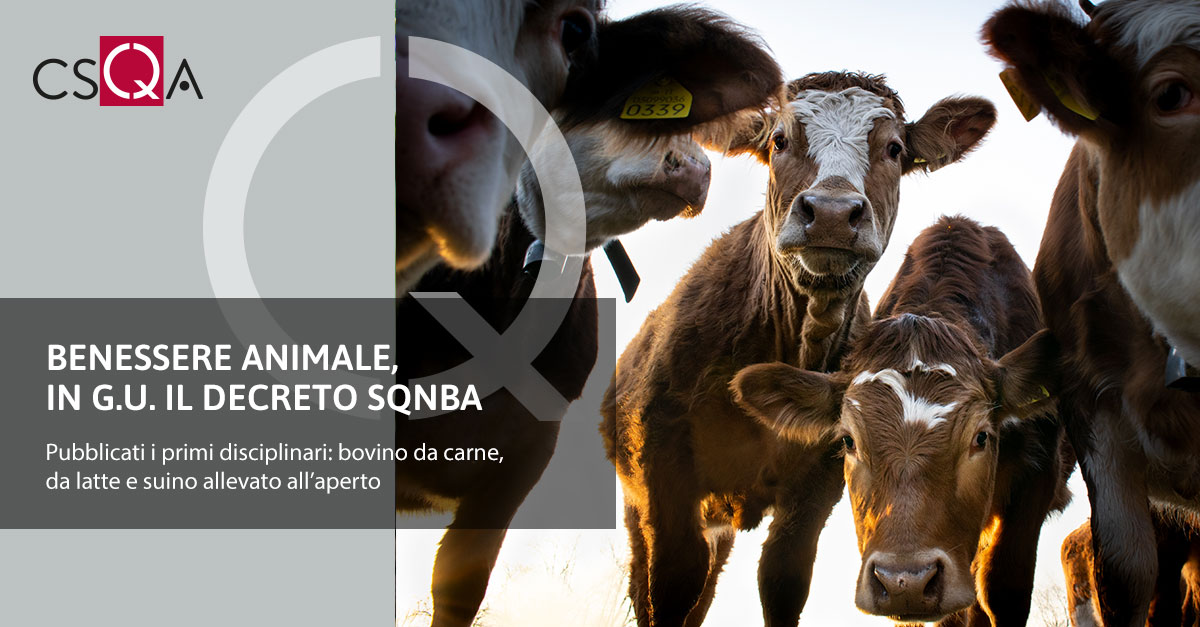 Benessere animale, in G.U. il Decreto SQNBA