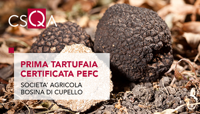 First PEFC certified truffle ground in Italy