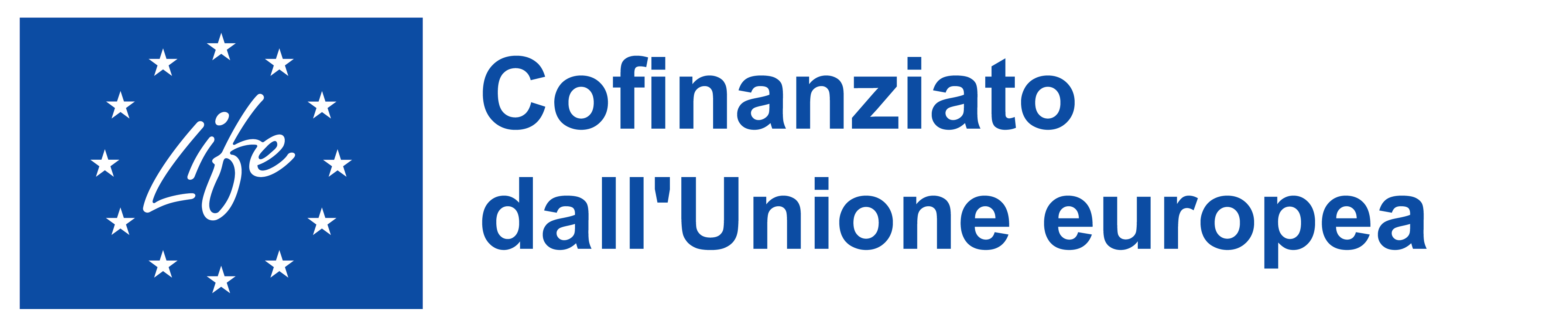 IT-Cofinanziato-dall-Unione-europea_PANTONE-(1).jpg