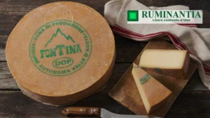 Fontina DOP: approvate le modifiche al discliplinare di produzione