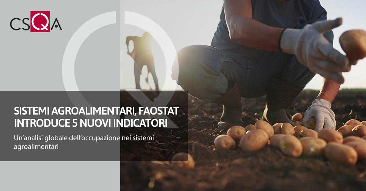 Agri-food systems, FAOSTAT introduces 5 new indicators 