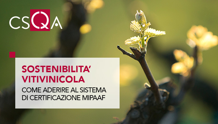 Certification system of the sustainability of the wine production chain