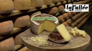 Vallèe d'Aoste Fromadzo DOP: from home-made dairy tradition to DOP certification