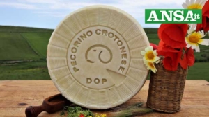 Pecorino Crotonese DOP, dalla filiera 1,7 milioni euro valore al consumo