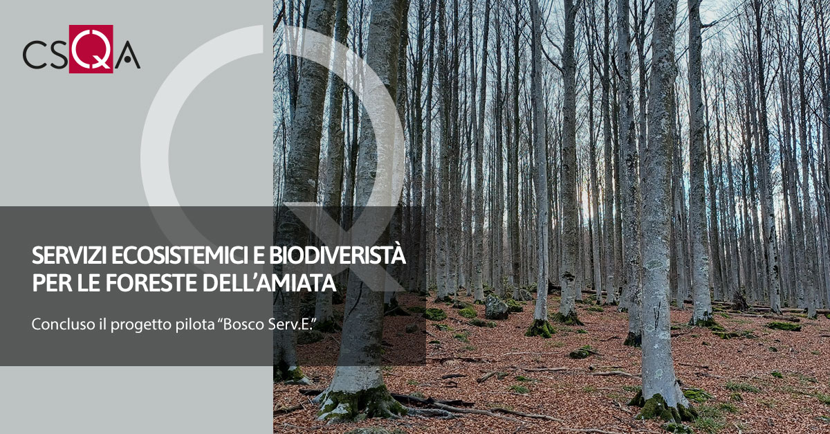 Ecosystem services and biodiversity for the Amiata Forestry Consortium