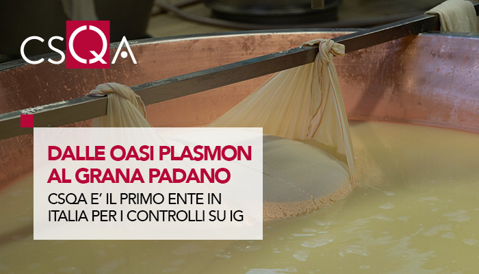 The report, from the Plasmon oases to Grana Padano: the champion of certifications is from Veneto