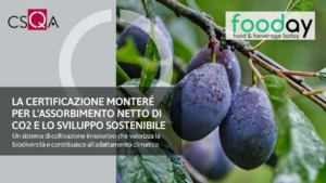 MonteRé certificata per l’assorbimento netto di Co2 e lo sviluppo sostenibile