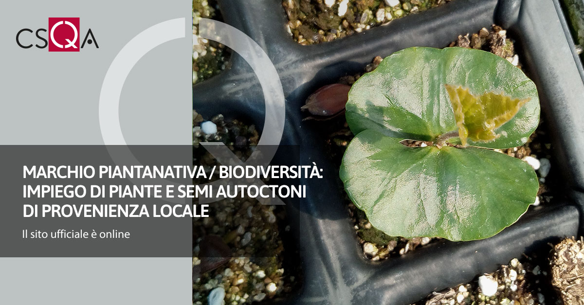 PiantaNativa / Biodiversity brand: use of native plants and seeds of local origin