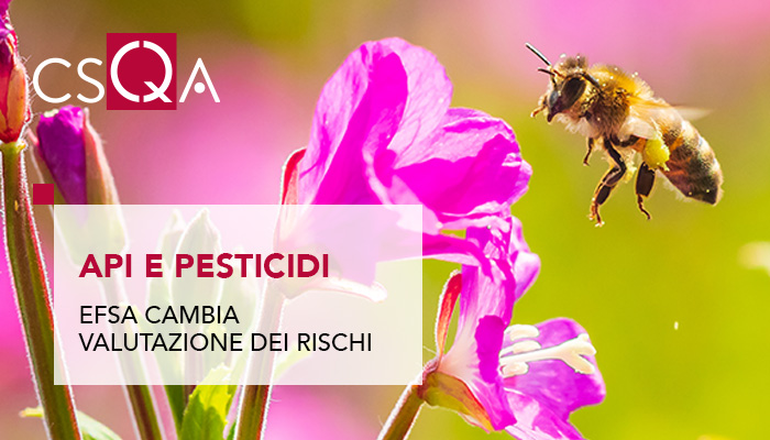 Bees and pesticides: EFSA changes risk assessment