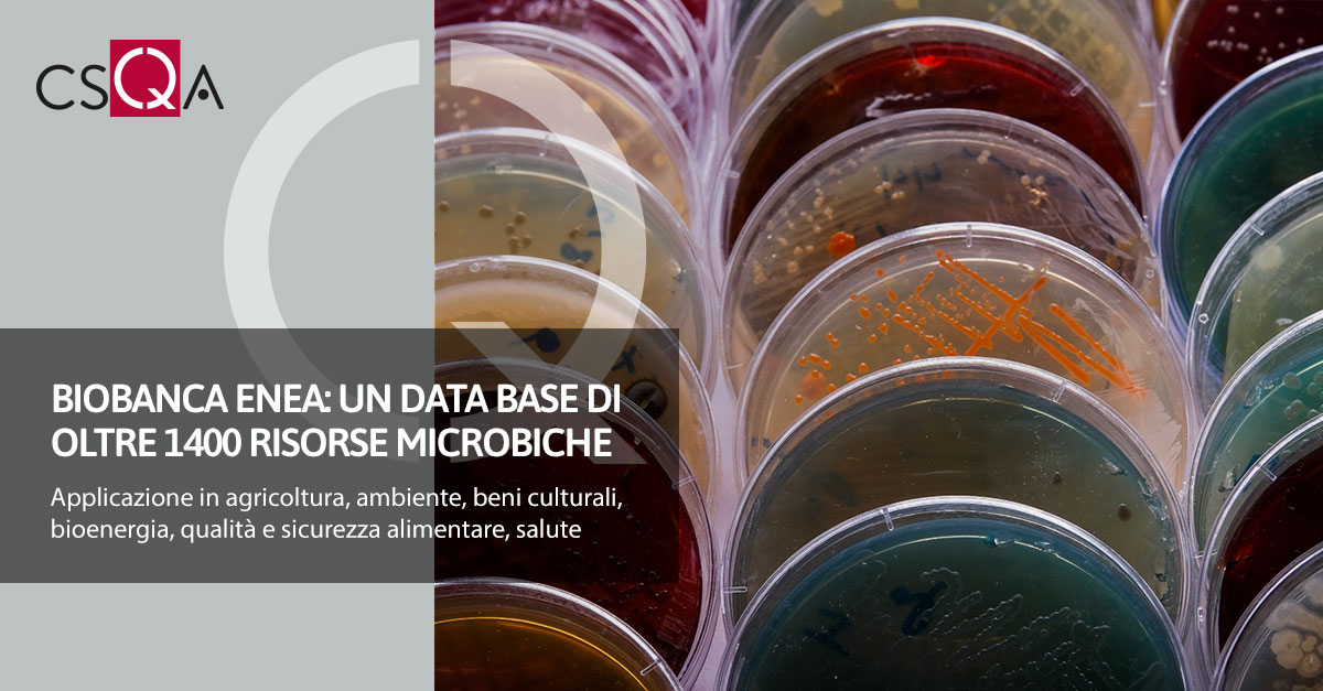 ENEA Biobank: an online database of over 1400 microbial resources