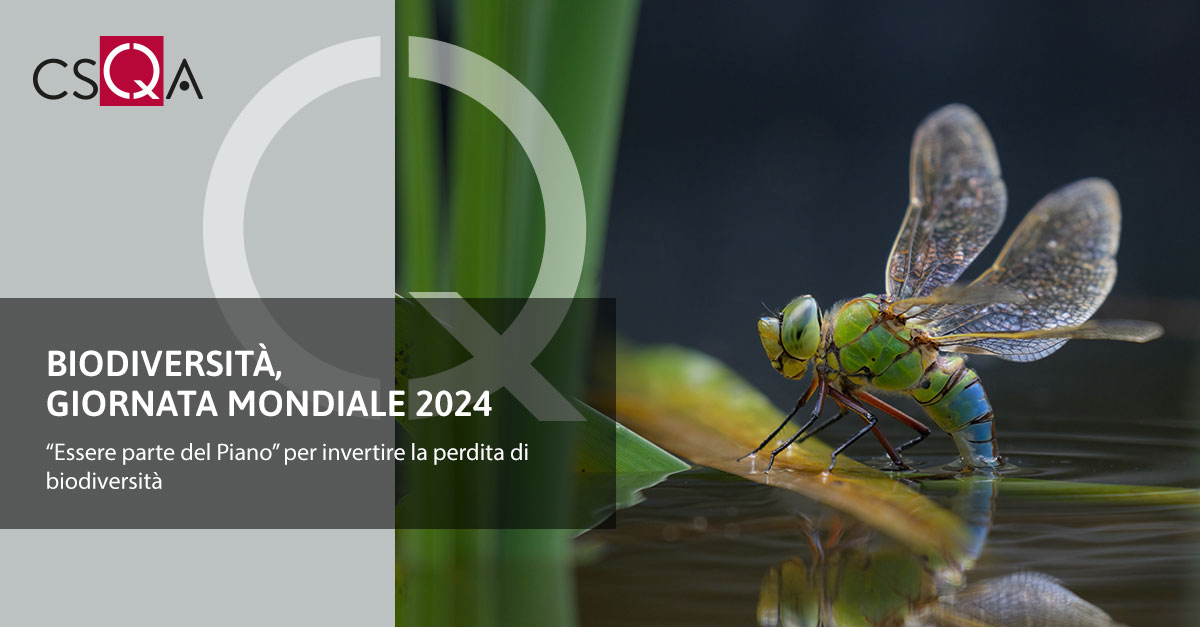 Biodiversity, world day 2024