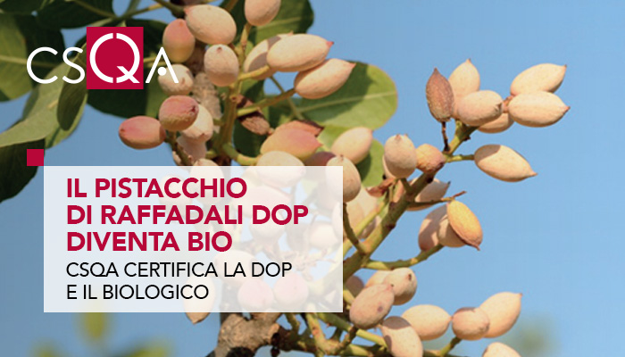 The "Pistachio di Raffadali DOP" becomes BIO