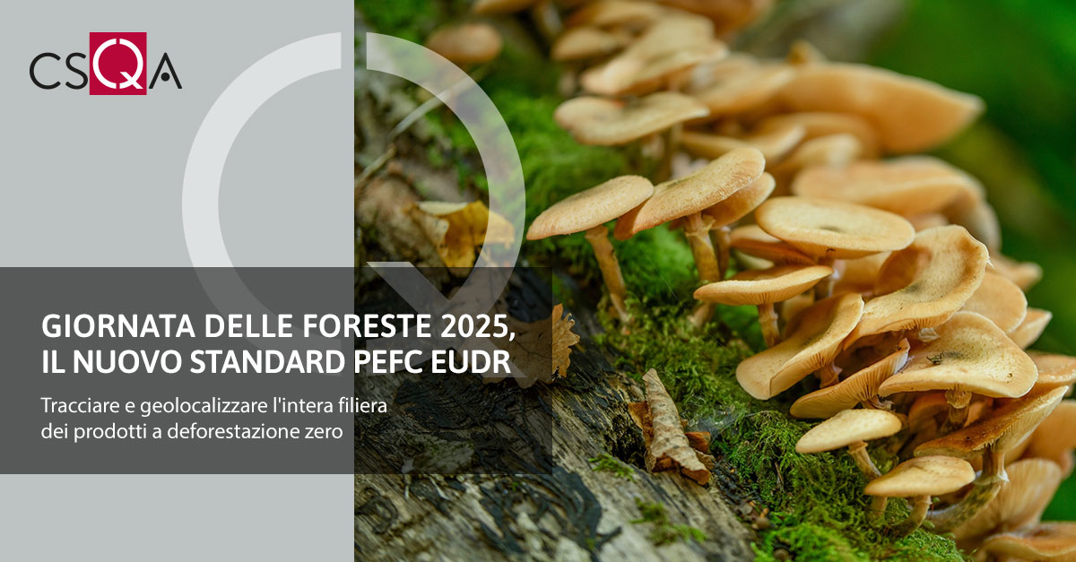 Giornata delle Foreste 2025, il nuovo standard PEFC EUDR