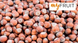 Giffoni PGI hazelnut: a year to forget