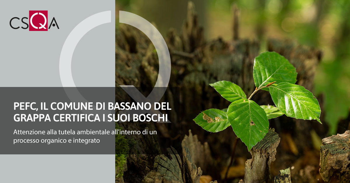 PEFC, the Municipality of Bassano del Grappa certifies its forests