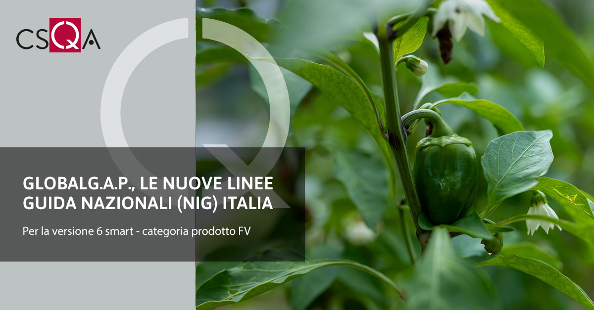 GLOBALG.A.P., le nuove Linee guida nazionali (NIG) Italia