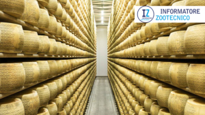 Consorzio Grana Padano DOP, vigilanza su tutta la filiera dal latte allo scaffale