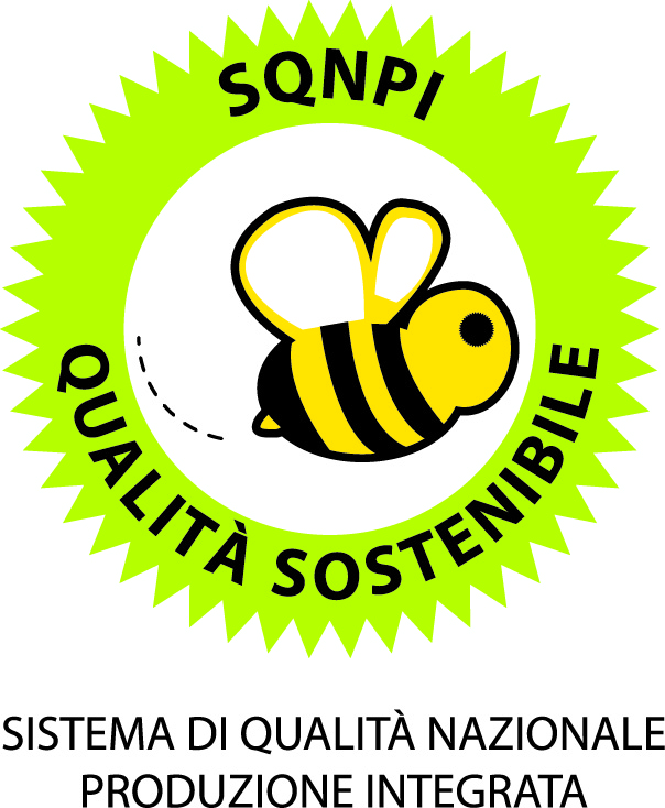 Logo_SQNPI_def.jpg