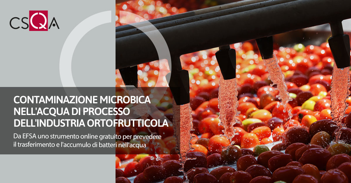 Contaminazione microbica nell'acqua di processo dell'industria ortofrutticola